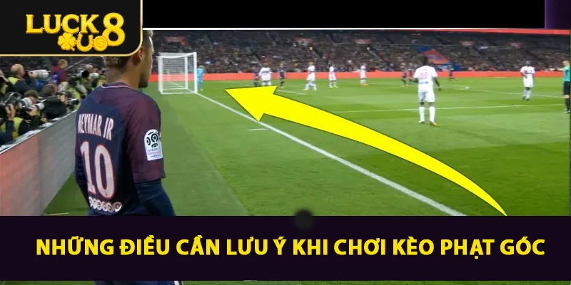 Hướng Dẫn Soi Kèo Phạt Góc Chi Tiết Nhất Cho Người Mới